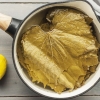 Vine Leaves in Brine